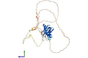 Protein Structure (PS) image for Spermatogenesis Associated 22 (SPATA22) (AA 1-363) protein (His tag) (ABIN7546434)