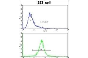 Flow cytometric analysis of 293 cells using ABCC5 Antibody (Center)(bottom histogram) compared to a negative control cell (top histogram).