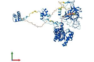 AlphaFold protein structure predicition of Human Recombinant SETMAR Protein, UniprotID Q53H47