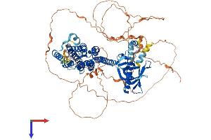 PLEKHG6 Protein (AA 1-787) (His tag)
