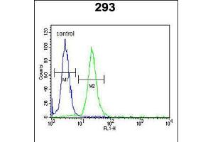 Flow cytometric analysis of 293 cells (right histogram) compared to a negative control cell (left histogram). (LMBR1L 抗体  (C-Term))