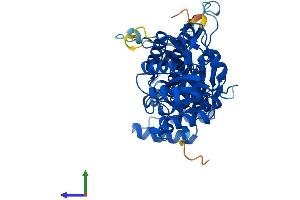 Protein Structure (PS) image for Nicotinamide phosphoribosyltransferase (NAMPT) (AA 1-491) protein (His tag) (ABIN7554676)