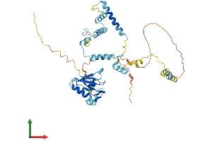 Protein Structure (PS) image for RNA Binding Motif Protein 41 (RBM41) (AA 1-413) protein (His tag) (ABIN7559407)