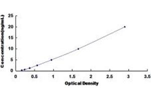 Typical standard curve (NPEPPS ELISA 试剂盒)