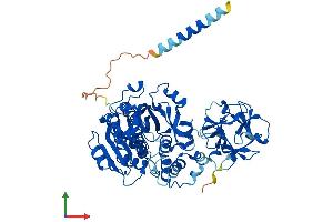 Protein Structure (PS) image for Udp-N-Acetyl-alpha-D-Galactosamine:polypeptide N-Acetylgalactosaminyltransferase 1 (GalNAc-T1) (Galnt1) (AA 1-559) protein (His tag) (ABIN7553970)