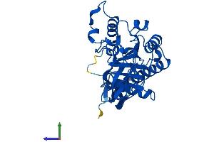 Protein Structure (PS) image for Aspartoacylase (ASPA) (AA 1-312) protein (His tag) (ABIN7559743)