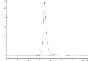 The purity of FITC-Compatible Human CD19 is greater than 95 % as determined by SEC-HPLC.