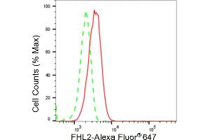 Flow cytometric analysis of FHL2 expression in HT- cells using FHL2 antibody (ABIN7798656), 1:2,000). (Recombinant FHL2 抗体)