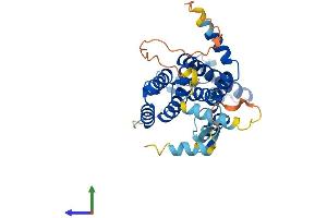 Protein Structure (PS) image for Rhomboid Domain Containing 1 (RHBDD1) (AA 1-315) protein (His tag) (ABIN7564356)