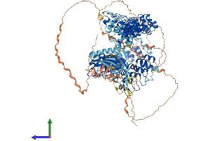 Protein Structure (PS) image for Tankyrase, TRF1-Interacting Ankyrin-Related ADP-Ribose Polymerase (TNKS) (AA 1-1320) protein (His tag) (ABIN7564126)