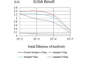 Black line: Control Antigen (100 ng),Purple line: Antigen (10 ng), Blue line: Antigen (50 ng), Red line:Antigen (100 ng) (ACTH 抗体)