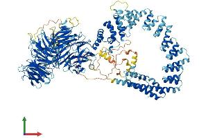 Protein Structure (PS) image for Elongator Complex Protein 1 (ELP1) (AA 1-1333) protein (His tag) (ABIN7564223)