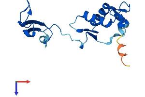 AlphaFold protein structure predicition of Human Recombinant FKBP9P1 Protein, UniprotID Q75LS8