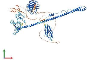 Protein Structure (PS) image for Tripartite Motif Containing 9 (TRIM9) (AA 1-817) protein (His tag) (ABIN7564521)