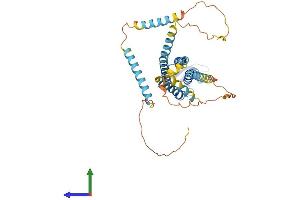 Protein Structure (PS) image for Gap Junction Protein, gamma 1, 45kDa (GJC1) (AA 1-396) protein (His tag) (ABIN7563040)
