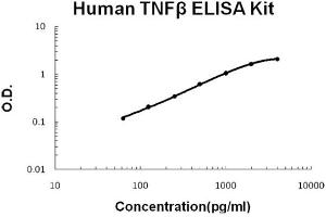 Human TNF beta Accusignal ELISA Kit Human TNF beta AccuSignal ELISA Kit standard curve. (LTA ELISA 试剂盒)