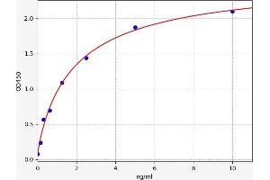 Typical standard curve (NFKBIA ELISA 试剂盒)