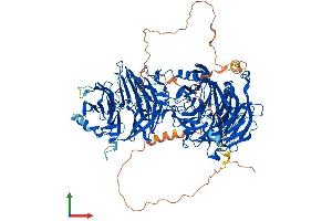 AlphaFold protein structure predicition of Mouse Recombinant Llgl2 Protein, UniprotID Q3TJ91