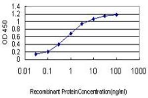 Detection limit for recombinant GST tagged HD is approximately 0. (Huntingtin 抗体  (AA 81-190))