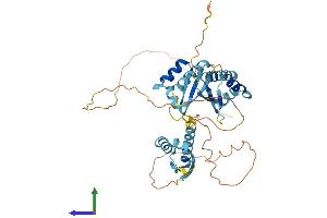 Protein Structure (PS) image for Poly(rC) Binding Protein 4 (PCBP4) (AA 1-403) protein (His tag) (ABIN7550635)