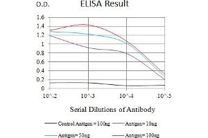 Black line: Control Antigen (100 ng),Purple line: Antigen (10 ng), Blue line: Antigen (50 ng), Red line:Antigen (100 ng) (BCAM 抗体  (AA 32-197))