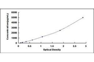 Typical standard curve (FGL2 ELISA 试剂盒)