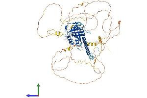 Protein Structure (PS) image for Chromosome 9 Open Reading Frame 86 (C9orf86) (AA 1-729) protein (His tag) (ABIN7551158)