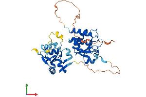 Protein Structure (PS) image for Dual Specificity Phosphatase 1 (DUSP1) (AA 1-367) protein (His tag) (ABIN7547216)