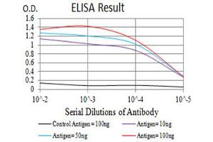 Black line: Control Antigen (100 ng),Purple line: Antigen (10 ng), Blue line: Antigen (50 ng), Red line:Antigen (100 ng) (MME 抗体  (AA 549-750))