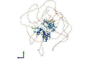 AlphaFold protein structure predicition of Mouse Recombinant Rgs3 Protein, UniprotID Q9DC04