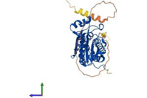 Protein Structure (PS) image for three Prime Repair Exonuclease 1 (TREX1) (AA 1-314) protein (His tag) (ABIN7564810)
