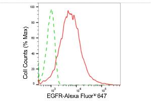 Flow cytometric analysis of EGFR expression in HepG2 cells using EGFR antibody (ABIN7798479), 1:2,000).