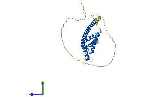 AlphaFold protein structure predicition of Mouse Recombinant Mlx Protein, UniprotID O08609