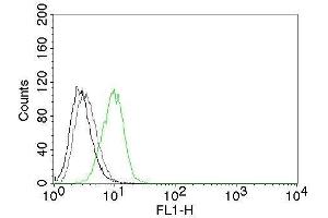 Flow Cytometry of human p27 on HeLa cells. (CDKN1B 抗体)
