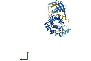 Protein Structure (PS) image for Mitogen-Activated Protein Kinase Kinase 6 (MAP2K6) (AA 1-334) protein (His tag) (ABIN7554610)