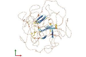 AlphaFold protein structure predicition of Human Recombinant AKNA Protein, UniprotID Q7Z591