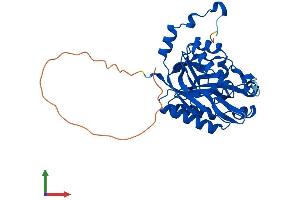 AlphaFold protein structure predicition of Human Recombinant NIT1 Protein, UniprotID Q86X76