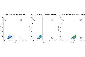 Use Biotinylated Human GPC3-His protein to detect the expression rate of Anti-GPC3-CAR positive cells. (Glypican 3 Protein (GPC3) (AA 25-559) (His-Avi Tag,Biotin))