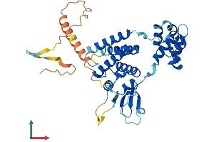 Protein Structure (PS) image for F-Box Protein 32 (FBXO32) (AA 1-355) protein (His tag) (ABIN7547717)
