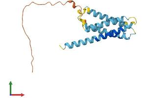 Protein Structure (PS) image for CKLF-Like MARVEL Transmembrane Domain Containing 7 (CMTM7) (AA 1-175) protein (His tag) (ABIN7553384)