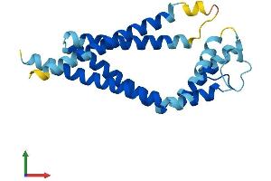 Protein Structure (PS) image for Tetraspanin 2 (TSPAN2) (AA 1-221) protein (His tag) (ABIN7544875)