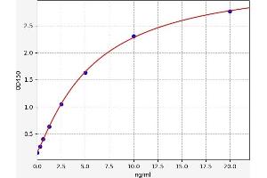 Typical standard curve (PARM1 ELISA 试剂盒)