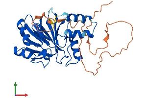 Protein Structure (PS) image for Hydroxyacylglutathione Hydrolase-Like (HAGHL) (AA 1-290) protein (His tag) (ABIN7548172)