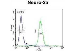 Flow cytometric analysis of Neuro-2a cells using LCN10 Antibody (Center) Cat. (LCN10 抗体  (Middle Region))