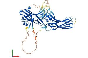 Protein Structure (PS) image for Arrestin, beta 2 (ARRB2) (AA 1-410) protein (His tag) (ABIN7564822)