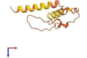 AlphaFold protein structure predicition of Human Recombinant LINC00597 Protein, UniprotID Q9H2U6
