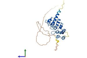 AlphaFold protein structure predicition of Mouse Recombinant Rfxank Protein, UniprotID Q9Z205