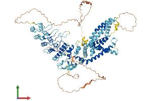 Protein Structure (PS) image for Transient Receptor Potential Cation Channel, Subfamily V, Member 1 (TRPV1) (AA 1-839) protein (His tag) (ABIN7564175)