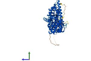 AlphaFold protein structure predicition of Mouse Recombinant Ctnnbl1 Protein, UniprotID Q9CWL8