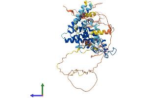 AlphaFold protein structure predicition of Mouse Recombinant Nr2c2 Protein, UniprotID P49117